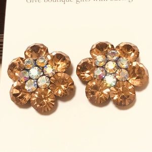 Sparkly pierced crystals earrings , boutique jewelry